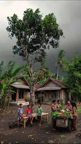 #nostalgia #kenangan #suasanakampung #suasanapedesaan #desa #desaindonesia #anakrantau #sawah #kampunghalaman #rindu #masakecil #rindurumah #sendiri
