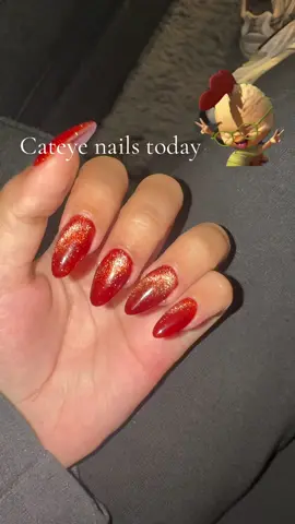 #fyp #nailschool #viral #student #cateye 