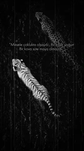 #keşfet #keşfetteyizzz #viraltiktok #viral_video #tiktokviral 