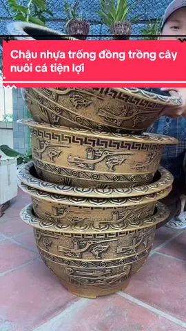 Chậu nhựa trống đồng . Trồng cây , nuôi cá đều được#chaunhua #chaunuoica #chau  @quỳnh yêu vườn 