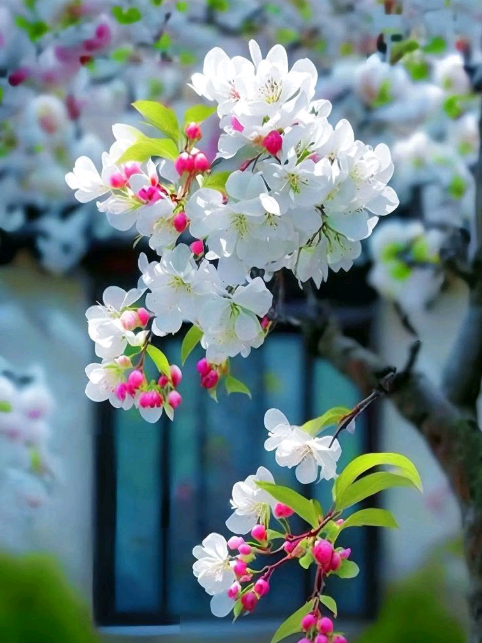 এই বুকেতে কেউ থাকে না থাকো শুধু তুমি..!!😌💗#foryoupage #foryou                            