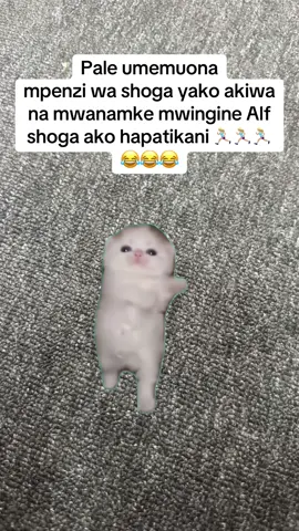 #fypシ 