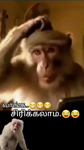 #tamil#dialogue  #comady😂🤣😂😂  #pypシ  #tamiltiktok 🦋😁