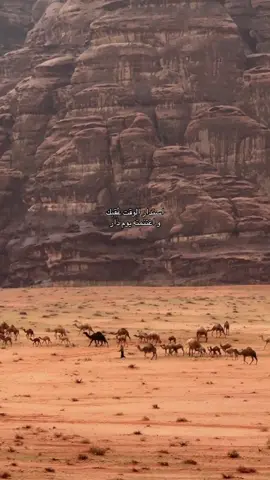 استدار الوقت عقبك  #شيلة#اكسبلور 