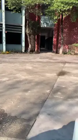 𝙲𝚘𝚖𝚎 𝙱𝚊𝚌k👅 . . . . .#viral #vedio #foryou #account@🦋🍂 @ᗩᑎᎥᎥ Kᕼᗩᑎ 🪽💫 