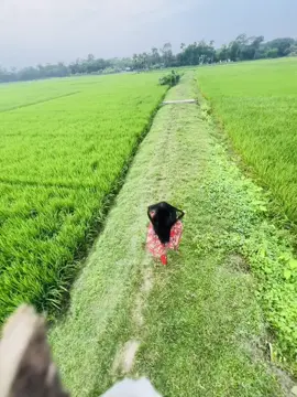 temon kichu na💔😑@TikTok Bangladesh tiktok #foryou #vairal 