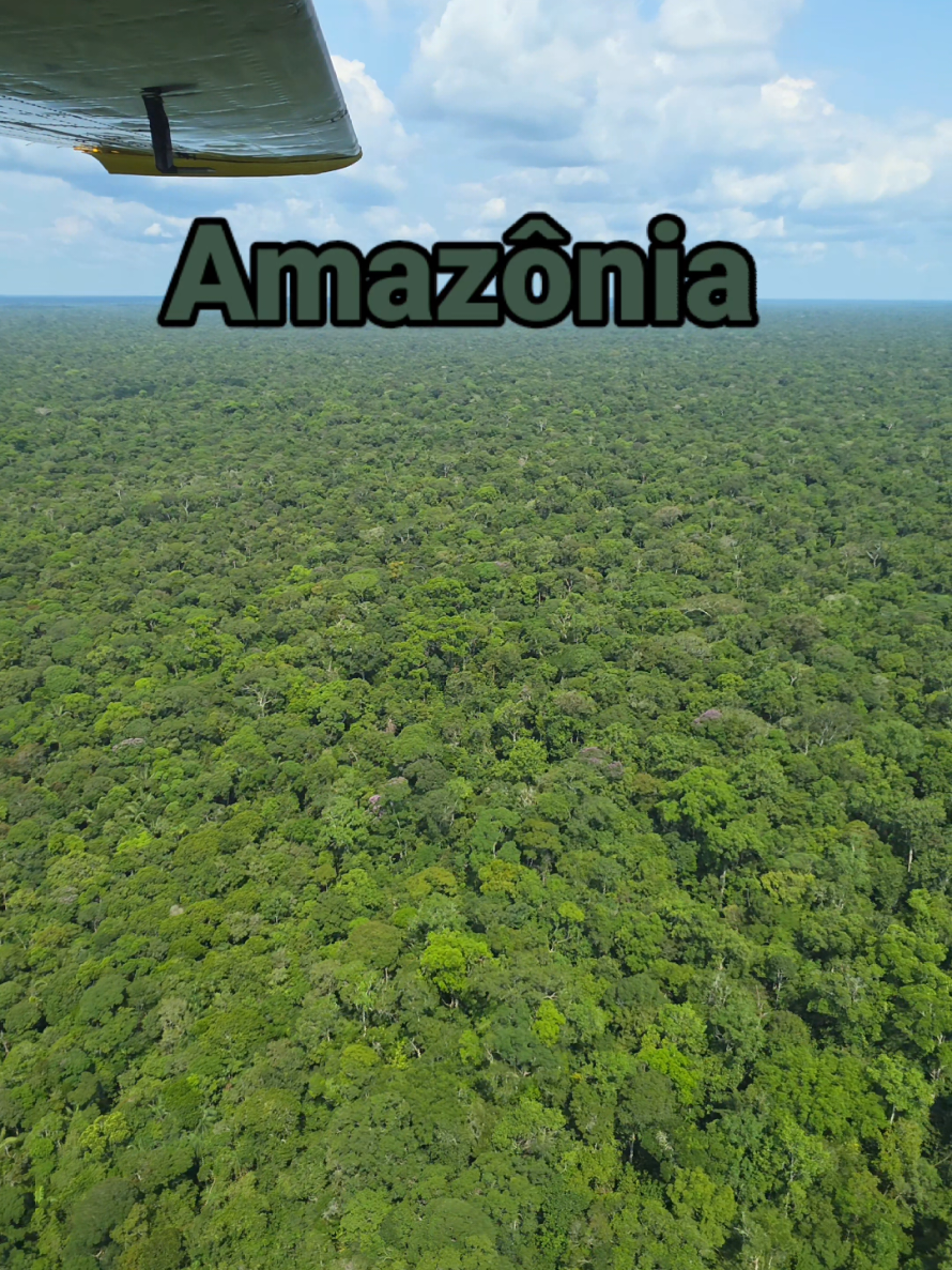 Amazônia!🌿🛖⛰️🛫 #amazonia #natureza #aviacao #piloto #cessna 
