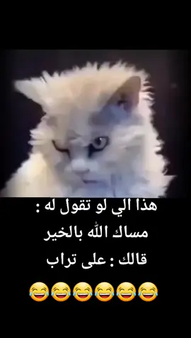 #fyp #fypシ #الشعب_الصيني_ماله_حل😂😂 #foryoupage #اكسبلور 