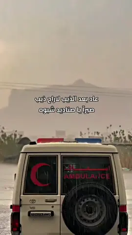 عاد بعد الذيب لاراح ذيب صبرآ يا صناديد شبوه #شبوه#اكسبلور#fypシ 