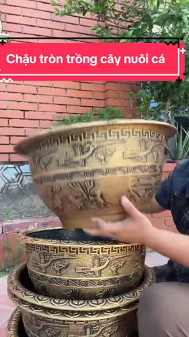 Chậu tròn trồng cây nuôi cá#chautrongcay #chaunuoica  @quỳnh yêu vườn  @quỳnh yêu vườn 