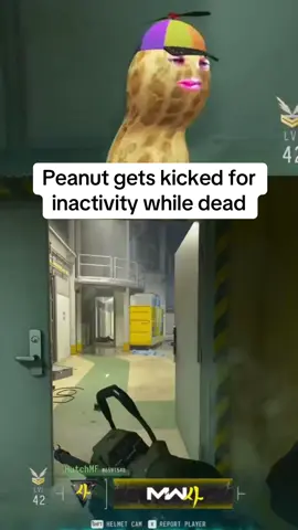 #Twitch this guy🤣 #theburntpeanut #viral #fyp #clips 