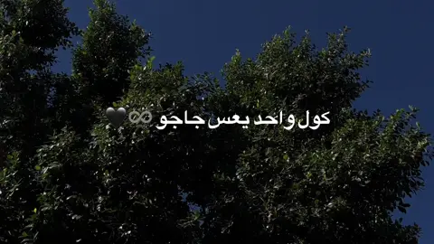 #explore #tiktok #fyppppppppppppppppppppppp #fyp #fypシ 