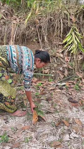 usrak asruk dadawut neangan rempah rempah jeng nyimur kurung bapana #kampungadat #iburumahtangga 