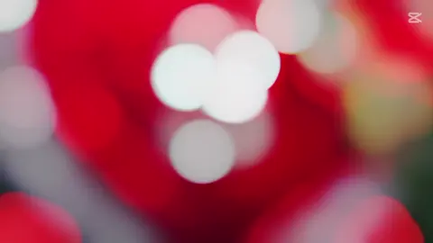 প্রেমের ডাক্তার  #foryou🌿  #foryoupage🌿  #trending🌿  #fypシ゚viral❤️tiktok🌿  #love🌿 