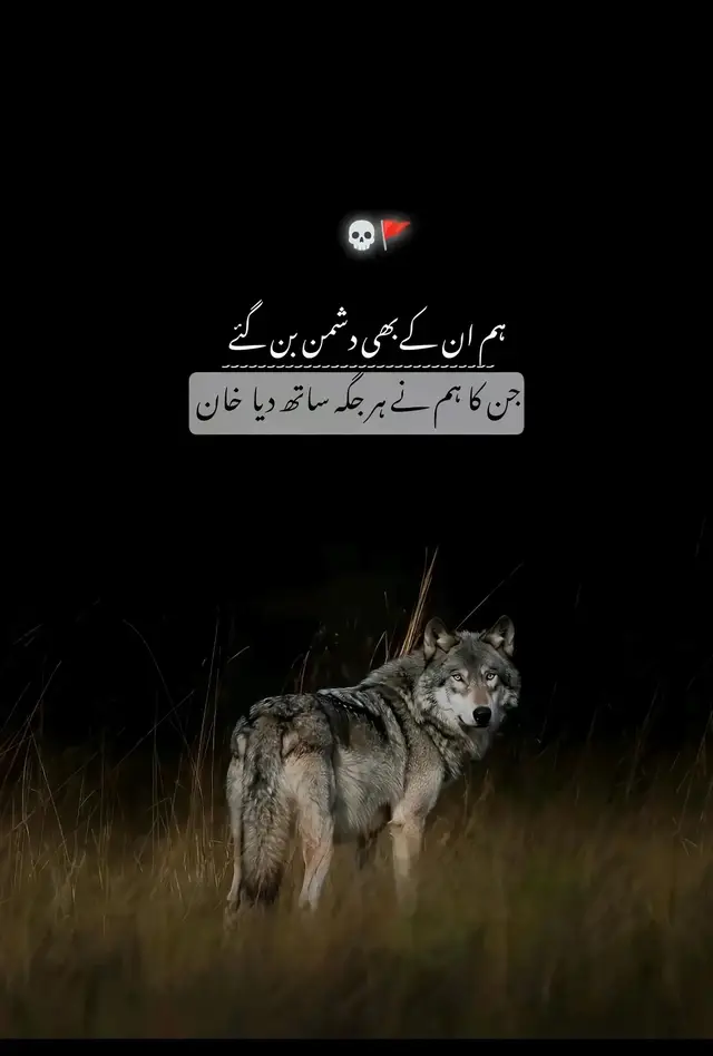 ہم کسی کے پیچھے نہیں چلتے، نہ کسی سے مقابلہ کرتے ہیں۔ ہمارا کردار ہی ہماری پہچان ہے، اور ہمارا وقت ہی ہمارا جواب ہوگا۔ #fyp #wolf #wolfline 