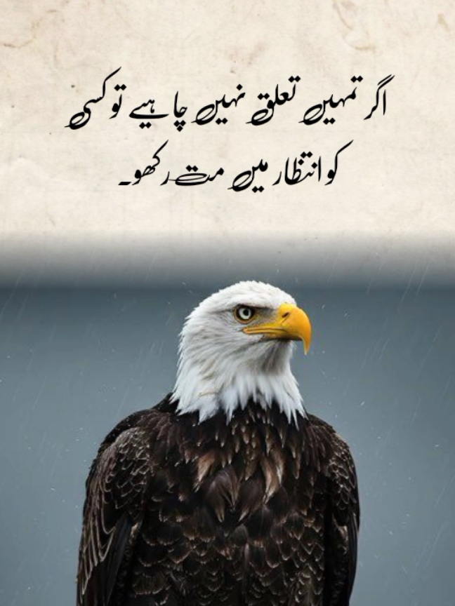 جھوٹی امید زیادہ تکلیف دے سکتی ہے۔|#Relationship #TrueLove #LoveQuotes #HumanPsychology #LifeLesson 