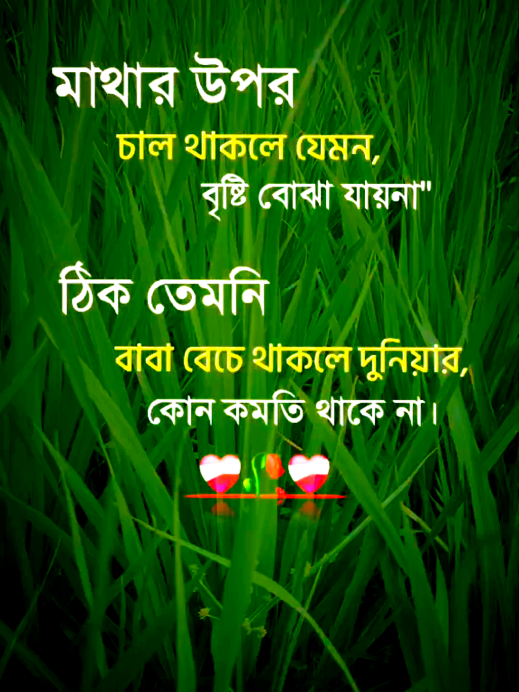 #মাথার উপর চাল থাকলে...!! #bdtiktokofficial #foryoupage #foryou 