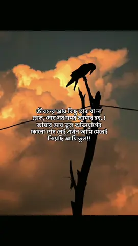 hea 🖤😔#bdtiktokofficial🇧🇩 #vairalvideo #fyp #sadstory #probashirbow✈️✈️ 