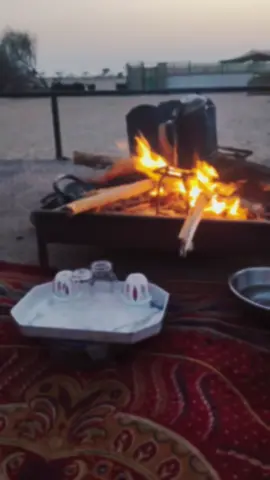 @محمد  بن ناصر الشبيح 