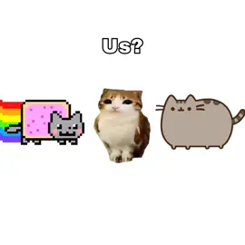 #Meowl // Us? 
