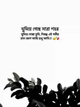 ঘুমিয়ে গেছে সারা শহর ঘুমিয়ে গেছো তুমি, নিস্তব্ধ এই গভীর রাত জেগে আছি শুধু আমি.!! 😅❤️‍🩹 #foryou #foryoupage #viral #caption #অভিশপ্ত_me🕊️ 