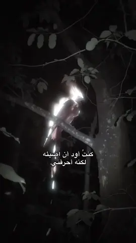 لكنه أحرقني.
