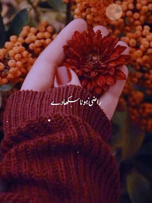 Replying to @jannat__rajput9.17 میرے مالک ! ہماری دعا قبول فرما❤️#fypシ゚viral #jannat_official01 #foryoupage #fypシ゚viral @🥀ʲᵃⁿⁿᵃᵗ ʳᵃʲᵖᵘᵗ🥀 @🌹Noor-rajput official🌹 