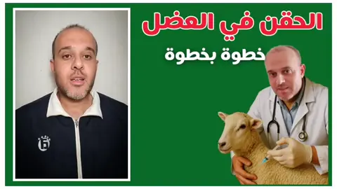 الحقن في العضل في الاغنام والماعز