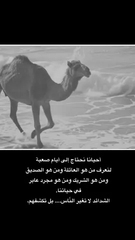 #VNVideoEditor 