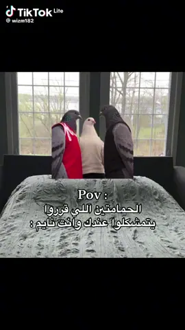#الشعب_الصيني_ماله_حل😂😂 #مشاهير_تيك_توك #اكسبلور #ضحك 