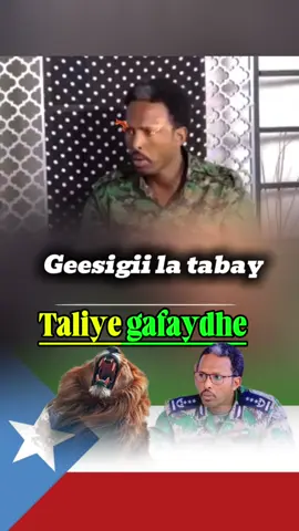 Haduu maanta joogi lahaa taliye gafaydhe oromo ma soo weerarteen moyaale ✊👑🇬🇶🩸❤️#CapCut #cali_fokani_poi🔥🐪 #somalitiktok #jigjigasomaligalbeed🇬🇶🇬🇲 #somalitiktok 