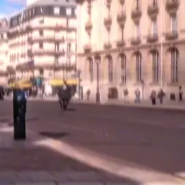 Repost with better Shakes || IB:@MersinEdits. #paris #france #napoleon #viral #protest 