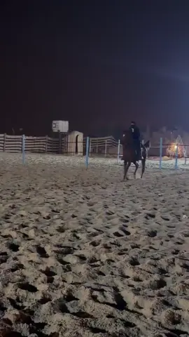 🫡#اسطبلات_خط_الرياض #خيل_وخياله🐎 #fypシ #explor 