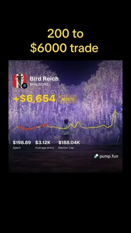 Falcons #pumpfun #fyp #trading #crypto #memecoins 