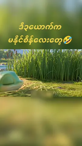 တကယ်မနိုင်စိန်လေးတွေ🤣🤣 #ကာတွန်းချစ်သူများ🥰  #ဟာသလေးများ🤣🤣🤣  #foryou 