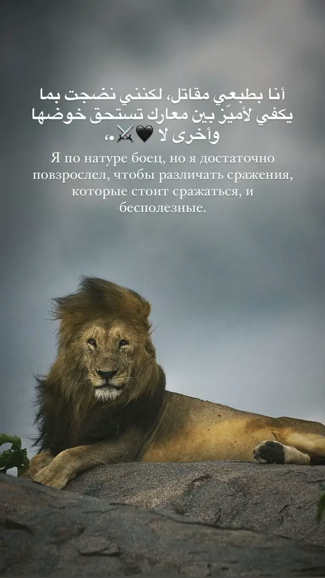 #тиктокроссия 