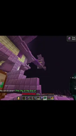 Race for the first elytra @ervil_weazel7 #Minecraft #sbr 