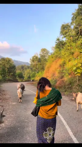 #🌻 #fyppppppppppppppppppppppppppppppppppppppppp #lungilover💚 @Sunil Giri 
