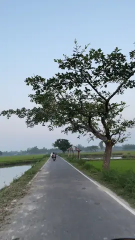 🥹🫶#vairal_video_tiktok #foyyyyyyyyyyyyyyy #bangladesh #2017 #foryoupage 