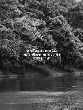 যে স্মৃতিতে মন হেসে উঠে সেটাই জীবনের সবচেয়ে সুন্দর সম্পদ.!🖤🕊️ #foryou #foryoupage #unfrezzmyaccount #bdtiktokofficial #views @TikTok @TikTok Bangladesh @For You House ⍟ 