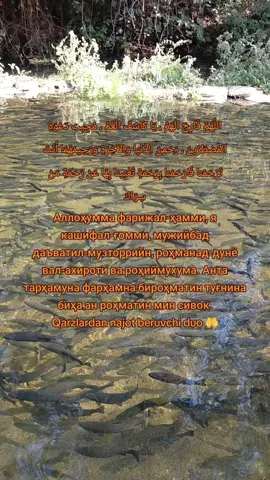 #dua #Kuran #foryoupage #islamic_video #foryou 