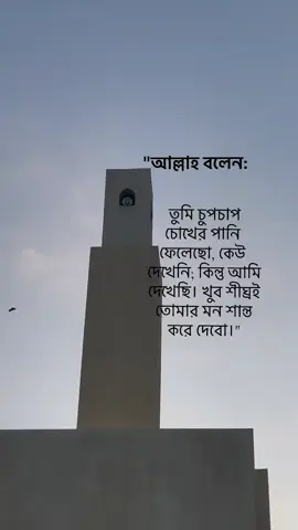 আল্লাহ বলেন :❤️🌻. . . ... . . . #tiotok #viralvideos #fypシ #bangladesh #explorepage✨