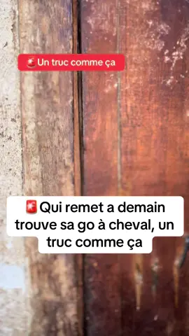 Un truc du genre 🥲#camerountiktok🇨🇲 #storytime #creatorsearchinsight 