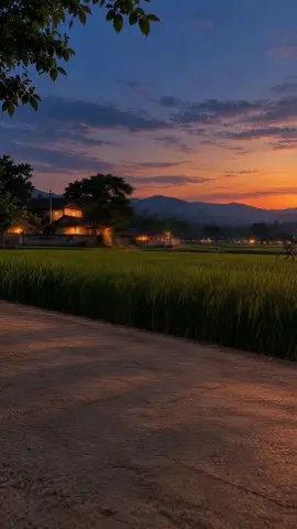 Quê em đã lên đèn, mọi người tất tả về nhà - Phông nền #dongque #livestream #phongnenlivestream #thahuongky #quenha 