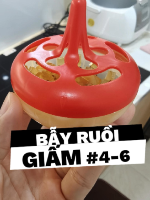 Bẫy ruồi giấm này nhỏ gọn mà hiệu quả cực ngon, dùng vài hôm là hết sạch ruồi giấm trong nhà. #dietruoi #dietruoivang #bayruoi #bayruoigiam