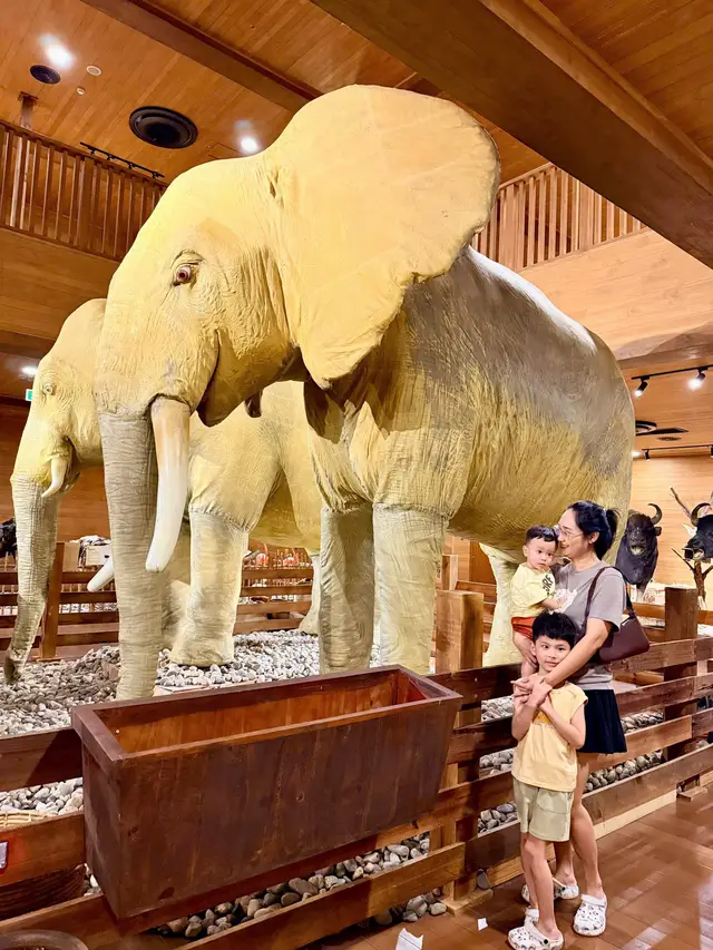 📸 Check-in sống ảo, ngắm view biển cực đẹp! 🎟️ Vé giá tốt – tiết kiệm hơn mua tại cổng. 💌 Ai đi Phan Thiết nhớ ghé Wonder Hill nha! 📩 Inbox em để nhận giá vé ưu đãi nhé ❤️ #WonderHill #PhanThiet #MePhanThiet24h #novaworldphanthiet #congviengrandpark 