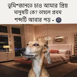 🌚