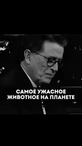 А ведь он прав.
