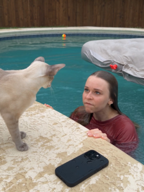 Karo Lost Her Mattress AND Her Phone Because Of Bro! 😱🐱💦 #broanddickens #cat
