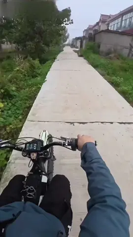 another #dog #gets #followed #by #motorcycle 